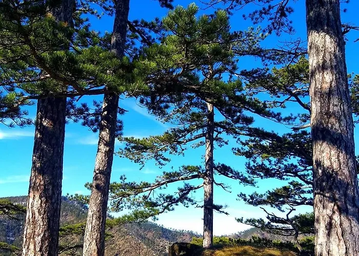 Lavanda Apartamento *